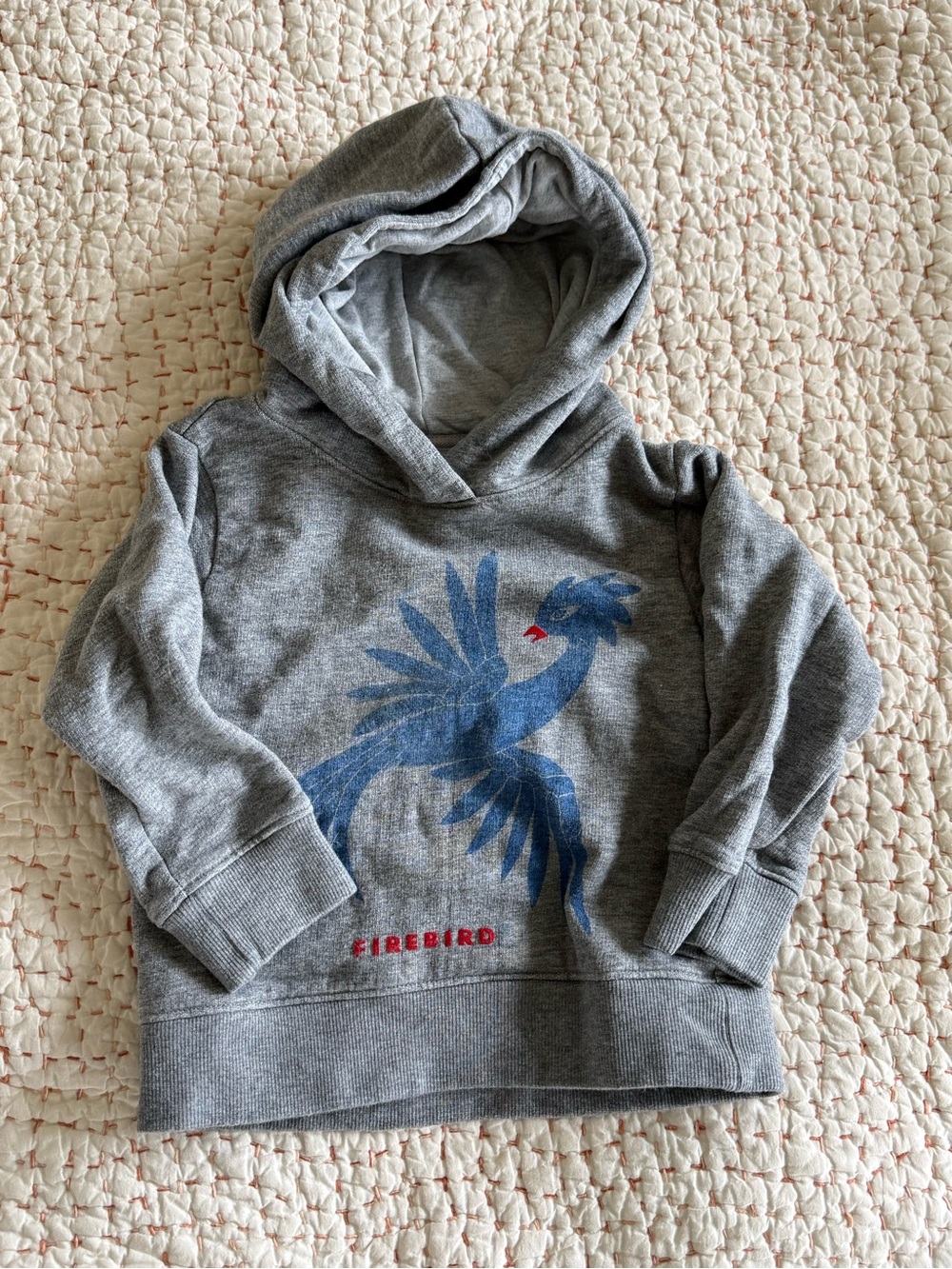Children's Grey Hoodie with Blue Firebird Graphic